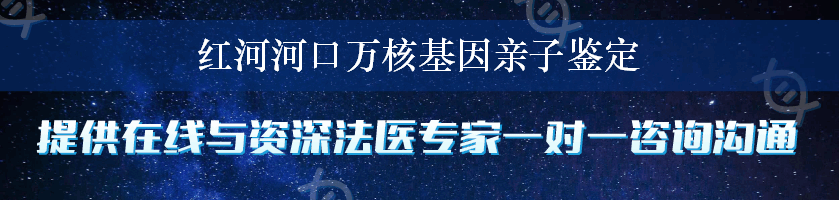 红河河口万核基因亲子鉴定